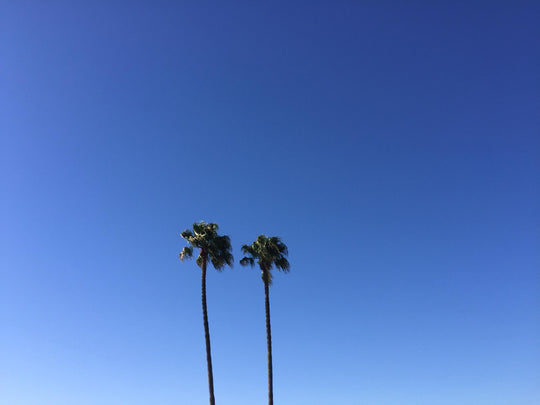 写真で振り返る、サンフランシスコ+LA出張 _ Part.1